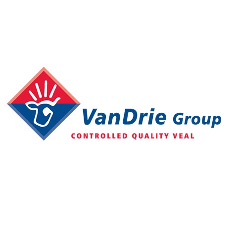 LOGO GRUPPO VANDREE